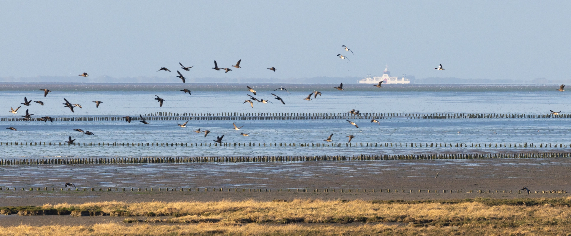 Wisselfoto foto_1763454711.webp