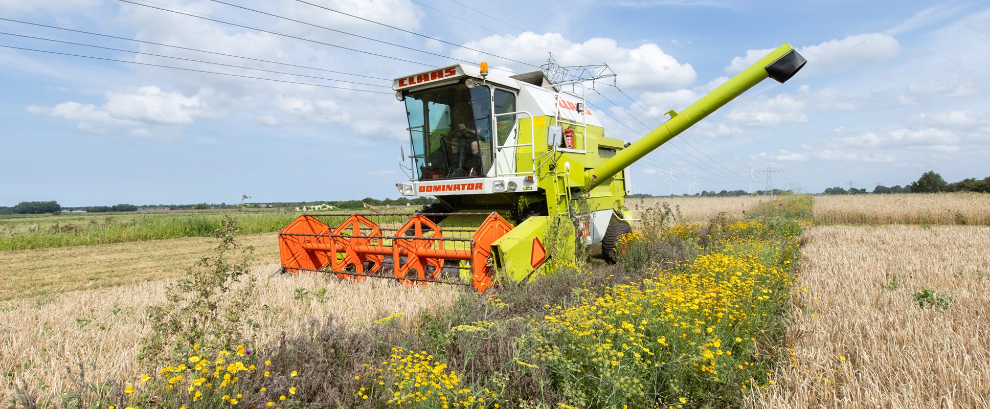 Wisselfoto foto_1764848348.webp