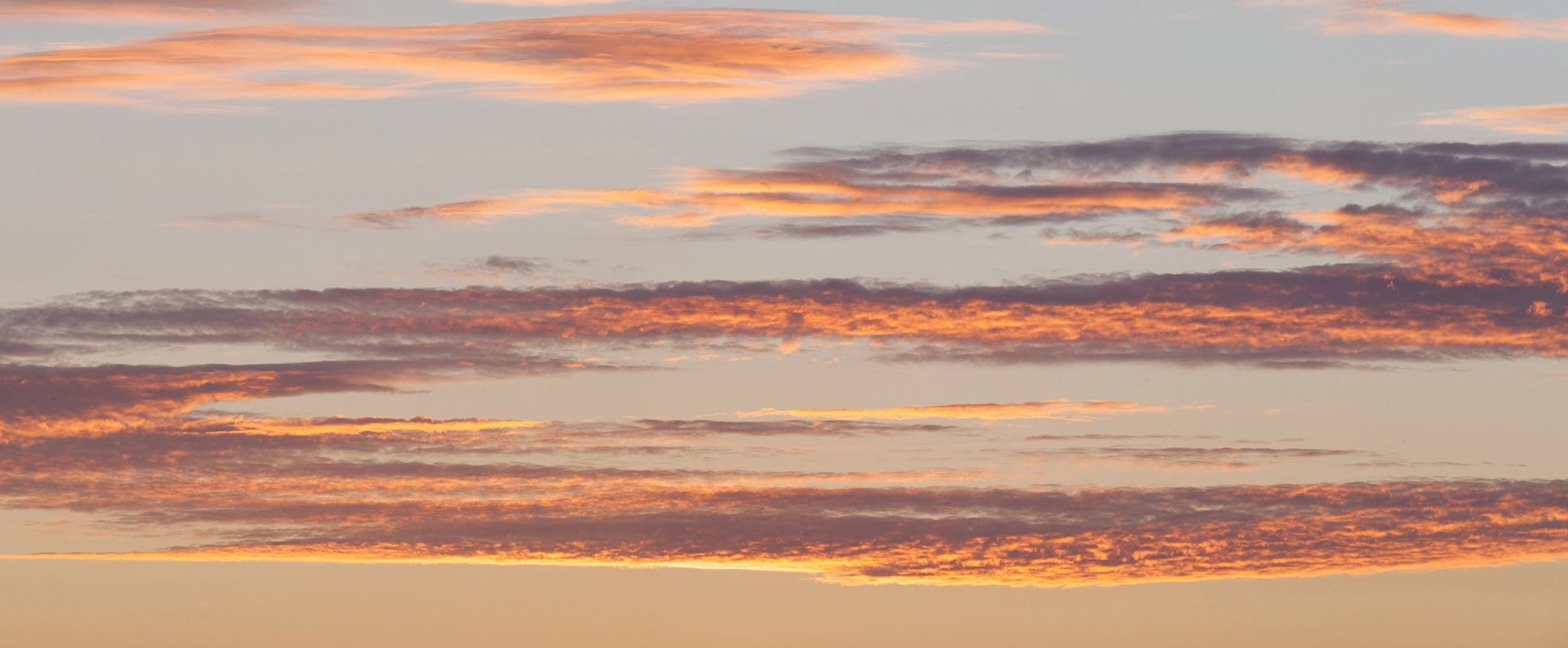 Wisselfoto foto_1765286114.webp