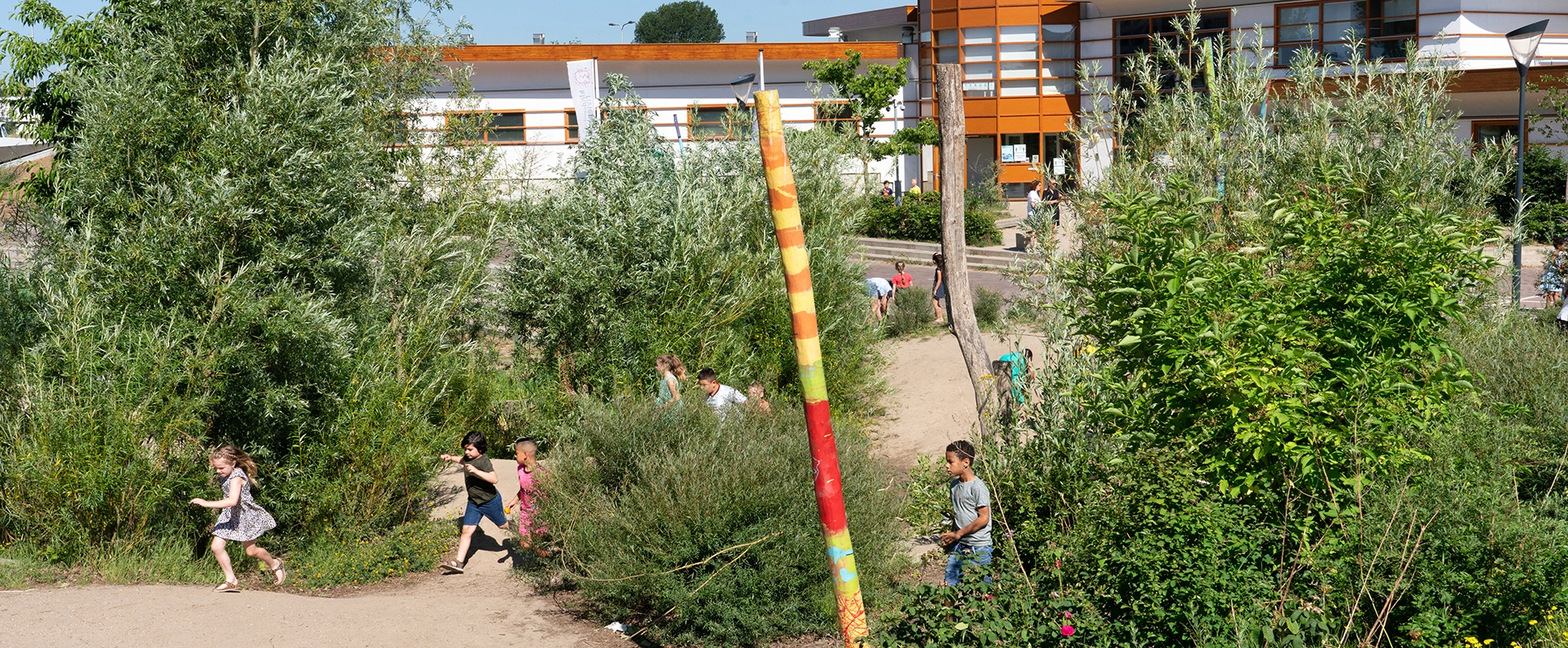 Wisselfoto foto_1771419739.webp