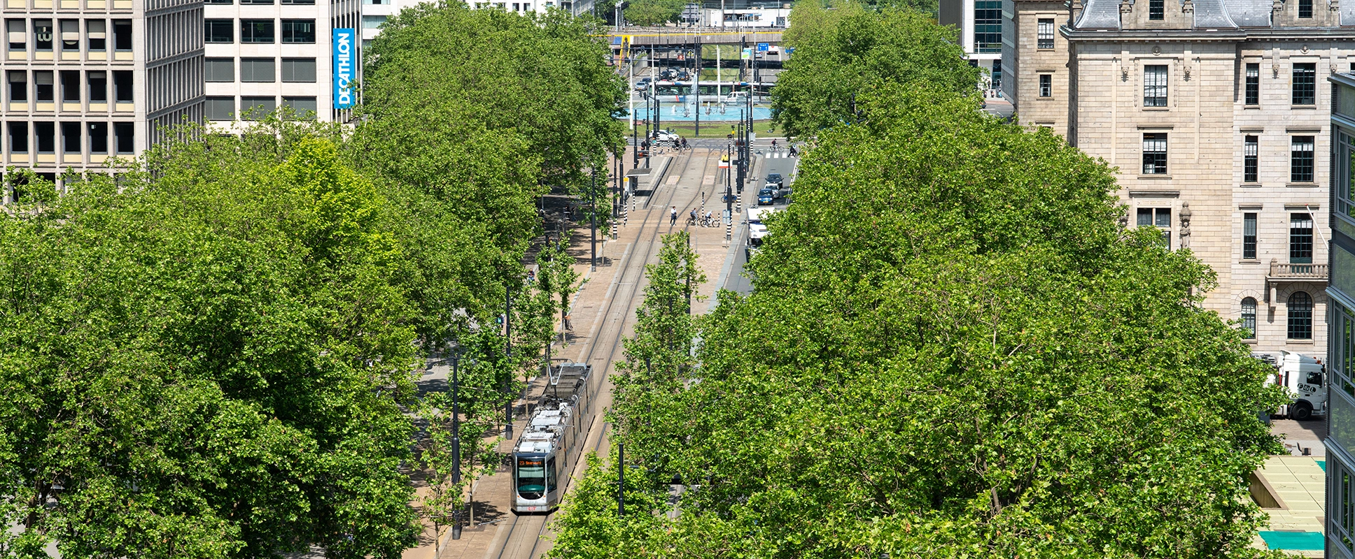 Wisselfoto foto_1771420309.webp