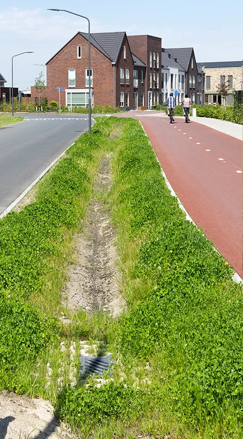 Wisselfoto foto_1771401396.webp