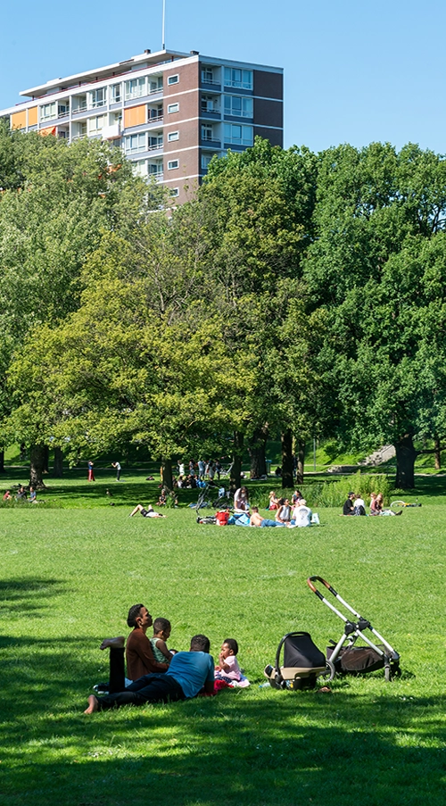 Wisselfoto foto_1771401452.webp