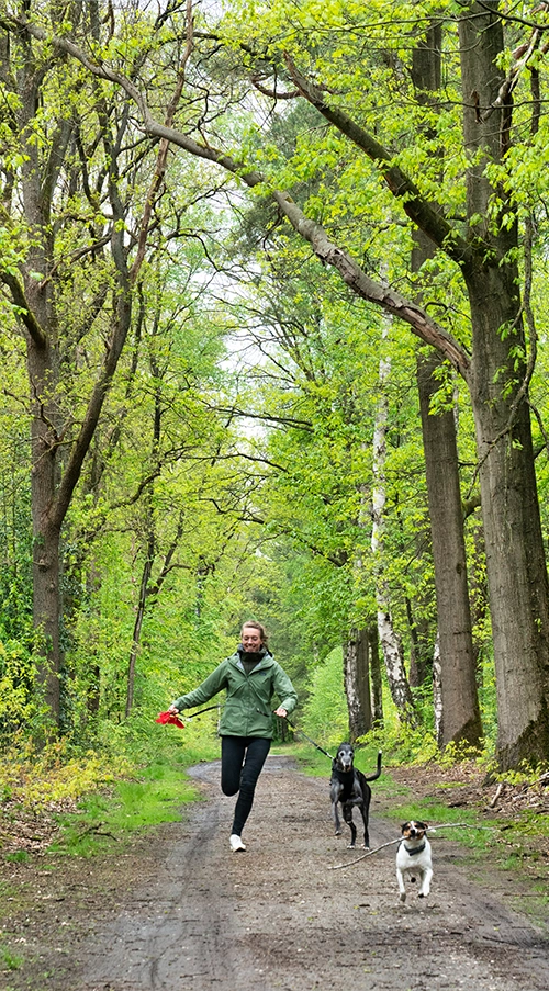 Wisselfoto foto_1771409391.webp