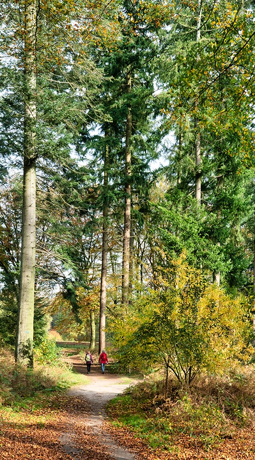 Wisselfoto foto_1771409422.webp