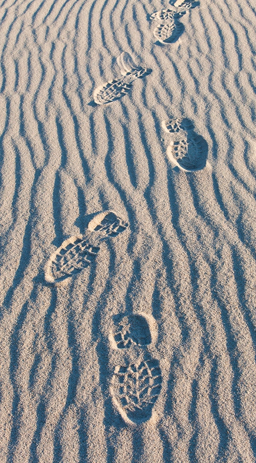 Wisselfoto foto_1771420495.webp