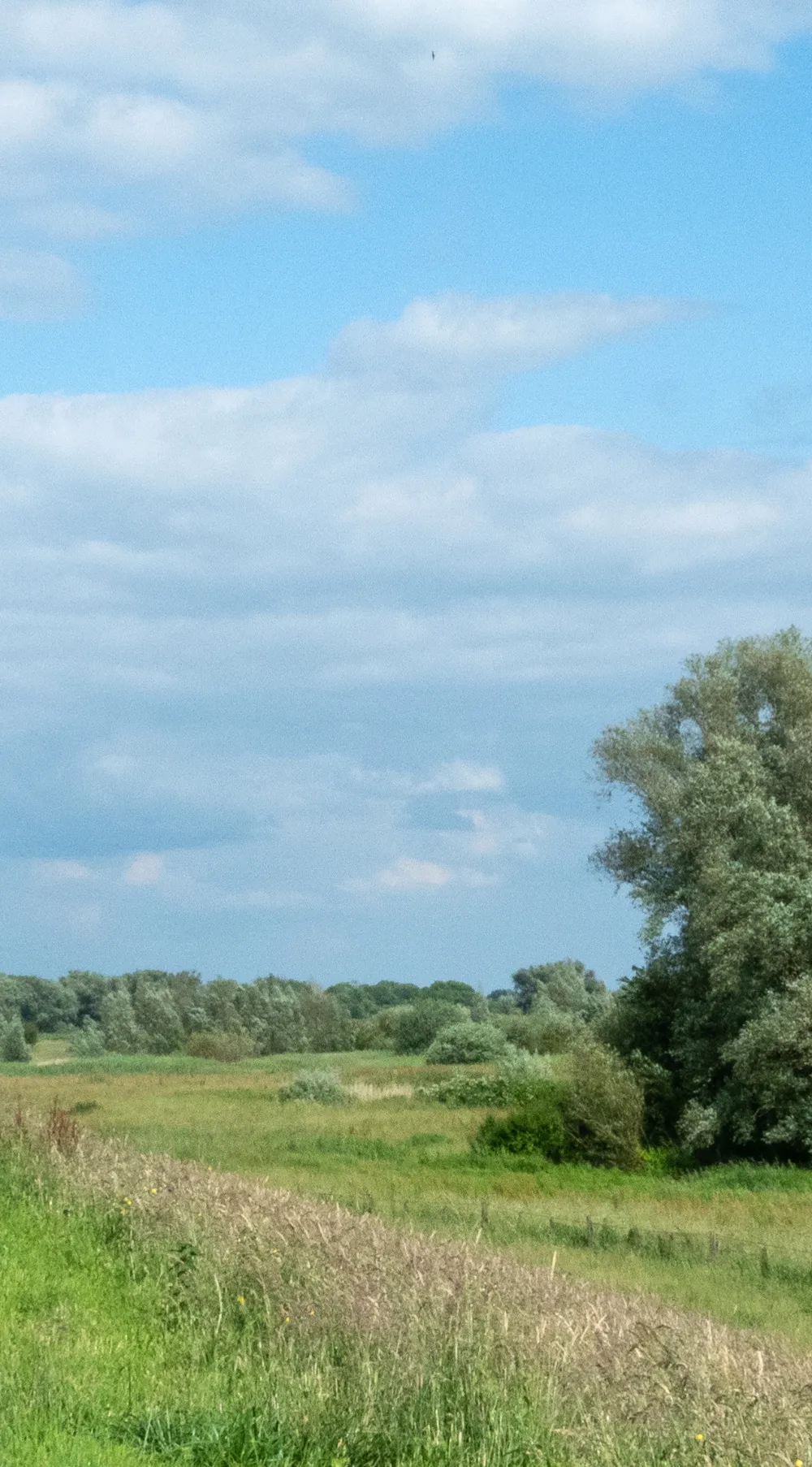 Wisselfoto 2