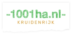 klant_1786947146